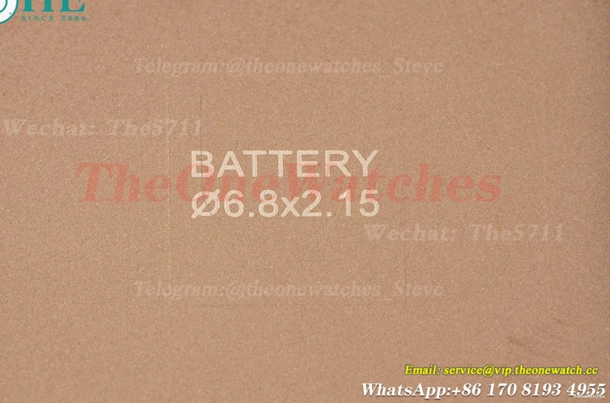 Dumont Dial Silver Brown Santos Quartz LE RG AF Dia 0313